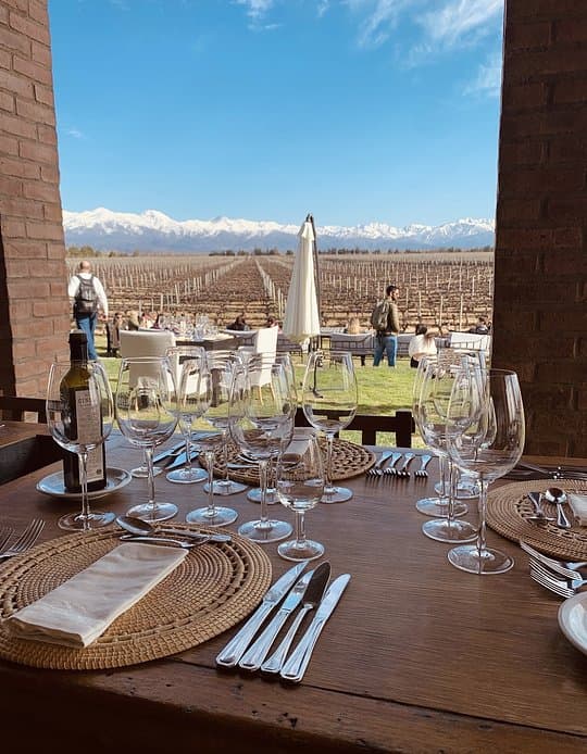 Wine Tasting in Mendoza 