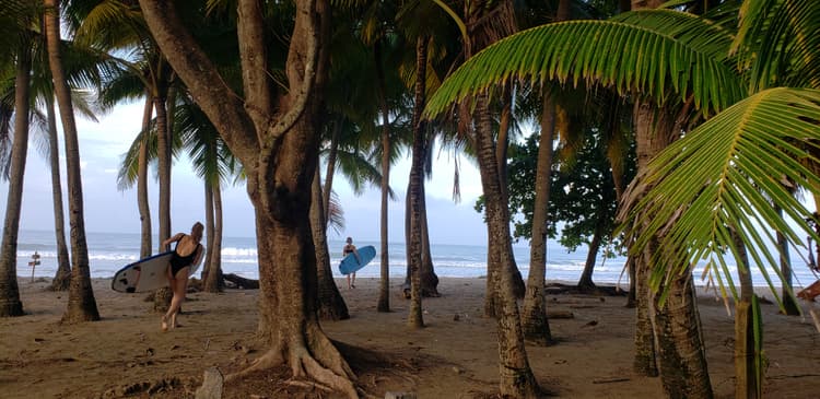 Surf lessons