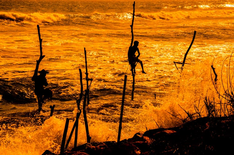 Stilt Fishermen