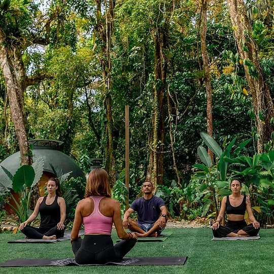 'Jungle gym' and Yoga lawn